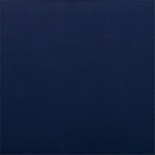 safavieh outdoor collection rocklin natural/ navy cushions/ light, close-up detail