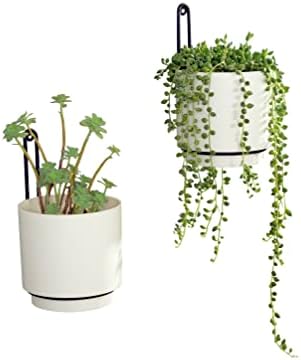wall mounted hanging planter vase for indoor and, main product view