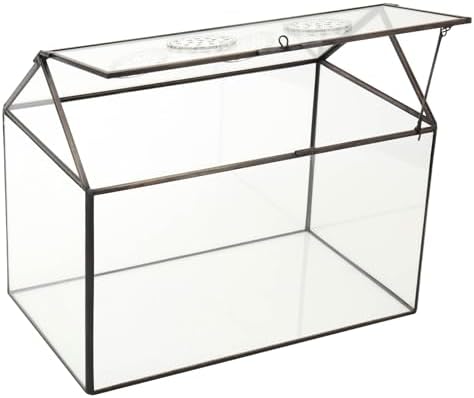 ncyp glass terrarium with lid and air holes, side view