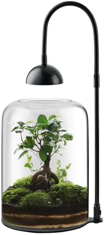 glass plant terrarium, led grow light, adjustable ventilation on a desk or shelf
