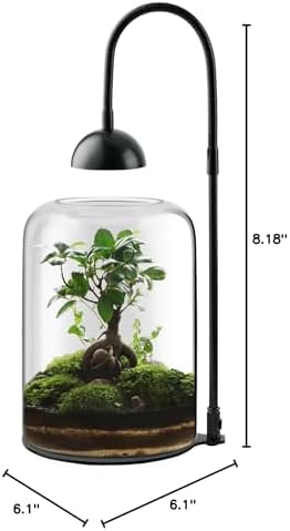 glass plant terrarium, led grow light, adjustable ventilation, front angle view