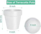vensovo 6 inch white terracotta & clay pots shown in use