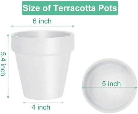 vensovo 6 inch white terracotta & clay pots shown in use