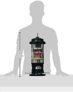 squirrel buster standard truly squirrel-proof bird feeder, front angle view