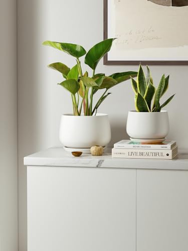 le tauci ceramic plant pots, 4.1+5.1+6.5 inch, set, front angle view