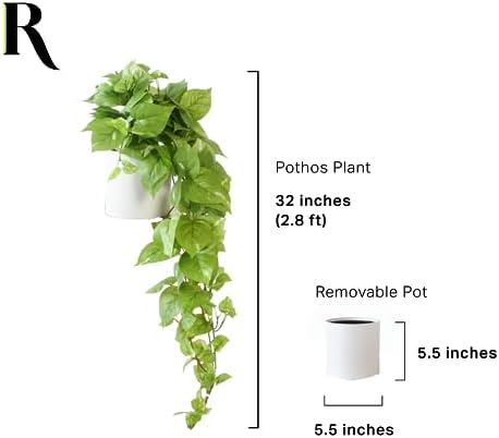 retrograde 32" fake plant, silk faux pothos ivy showing dimensions