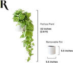 retrograde 32" fake plant, silk faux pothos ivy showing dimensions