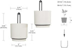 wall mounted hanging planter vase for indoor and, close-up detail