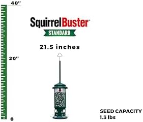 squirrel buster standard truly squirrel-proof bird feeder shown in use