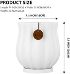7.1" matte white ceramic plant pot with saucer, close-up detail