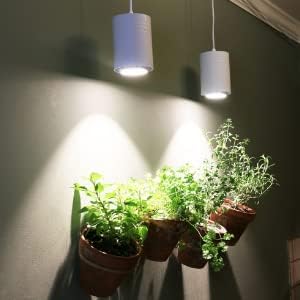 Full Spectrum Grow Light Bulbs for Indoor Plants, A19 9W LED Bulbs Indoor Outdoor Energy-Efficient 3000K Soft White Plant Light Bulbs FCC RoHS Compliant UL Listed