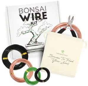 Leaves & Soul Bonsai Wire Kit with Cutter, Bonsai Training Wire Set 160ft | Plant Training Wire Set with Aluminum Wire, Cutter & Canvas Bag for Shaping Bonsai & Small Trees for Beginners & Pros.