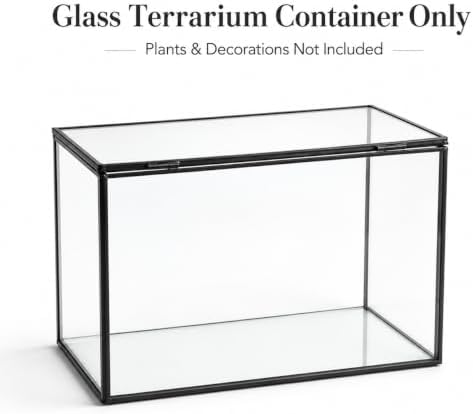 glass plant terrarium with lid, rectangular black metal showing dimensions