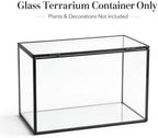 glass plant terrarium with lid, rectangular black metal showing dimensions