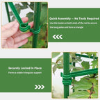g-leaf 6 pack 6ft tomato cage for garden on a desk or shelf