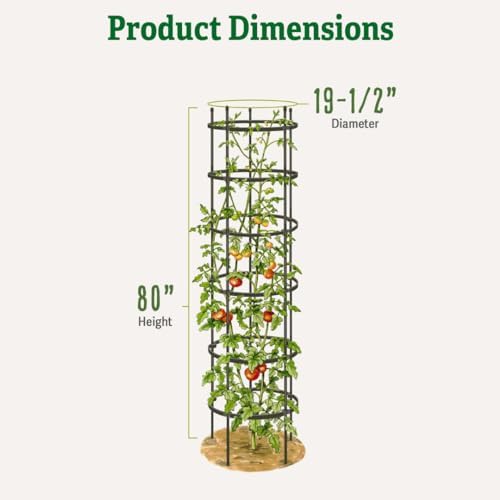 gardener's supply company titan extra tall tomato cages shown in use