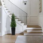 5ft tall 2 pack artificial cedar topiary trees showing dimensions