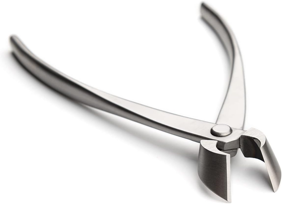 Bonsai Straight Edge Cutter Professional Grade Branch Cutter Alloy Steel Bonsai Tools Equip With Tool Bag (MT-SE-205 branch cutter gift-packaging)