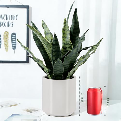 faux snake plant 22" tall, realistic touch leaves, package contents