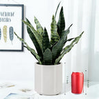 faux snake plant 22" tall, realistic touch leaves, package contents
