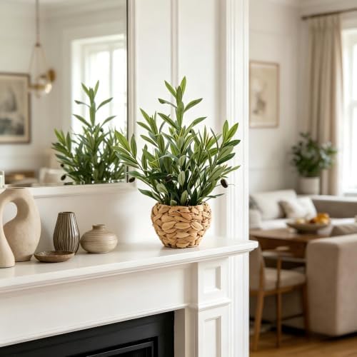 alphaacc fake potted plant small olive water hyacinth on a desk or shelf