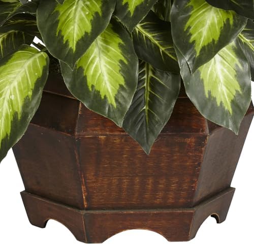 nearly natural 24 in artificial golden dieffenbachia plant, package contents