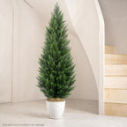 vitalismo 5ft artificial cedar trees set of 2, front angle view