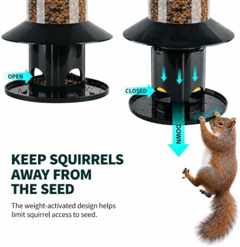squirrel-proof bird feeder for outdoor hanging wild bird shown in use