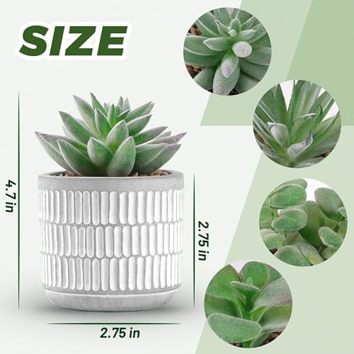 der rose 4 pack fake plants in striped shown in use