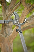 corona tools | 32-inch branch cutter dualcut bypass shown in use