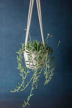 supermoss (54029 softweave hanging planters for indoor plants showing dimensions