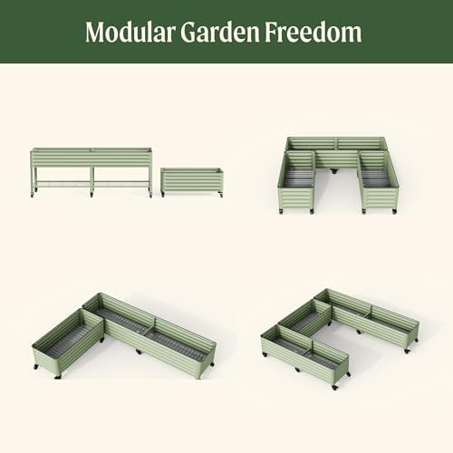 vego garden classic rolling citrus tree planter –, view 9