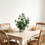 alphaacc 17" artificial ficus cement pot home kitchen on a desk or shelf