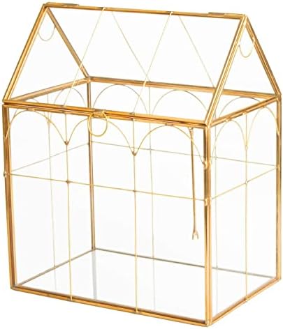 glass geometric plant terrarium,succulent & air planter for, close-up detail