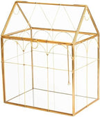 glass geometric plant terrarium,succulent & air planter for, close-up detail