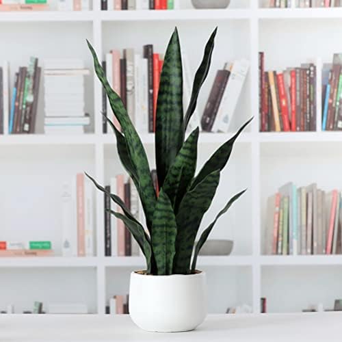 beebel artificial snake plant 22 inch fake sansevieria, package contents
