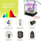rifny plant terrarium with grow light, glass terrarium, side view