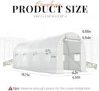 king bird premium 15x6.6x6.6ft greenhouse for outdoors large shown in use