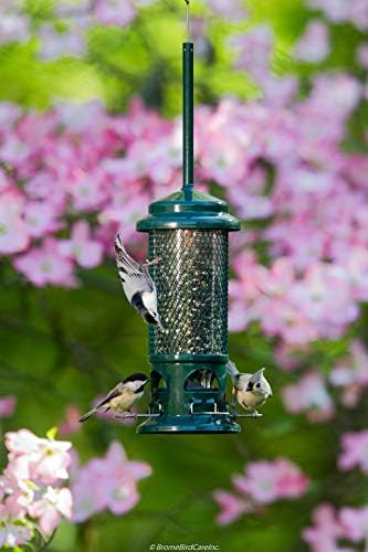 squirrel buster standard truly squirrel-proof bird feeder showing dimensions