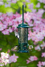squirrel buster standard truly squirrel-proof bird feeder showing dimensions