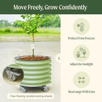 rolling citrus tree planter gen 3, self-watering 24”, close-up detail