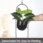 shineloha 2 pack hanging planter with 5.5" pot, package contents