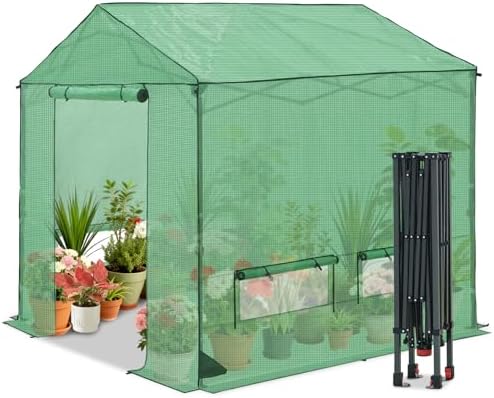 coos bay 8x8 pop up greenhouse outdoor, walk, view 9