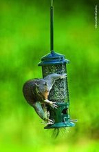 squirrel buster standard truly squirrel-proof bird feeder on a desk or shelf