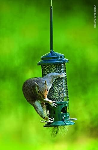 squirrel buster standard truly squirrel-proof bird feeder on a desk or shelf
