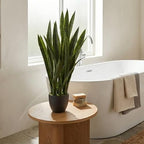 nearly natural 35in artificial snake plant with black shown in use