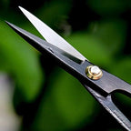 wazakura bonsai tool kit, satsuki scissors and concave on a desk or shelf