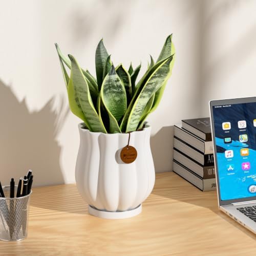 7.1" matte white ceramic plant pot with saucer showing dimensions