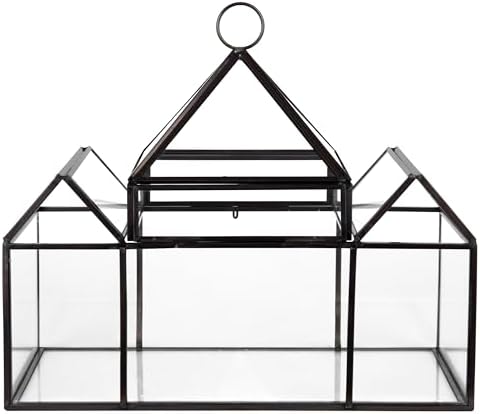 d'eco glass castle plant terrarium, centerpiece & wedding on a desk or shelf