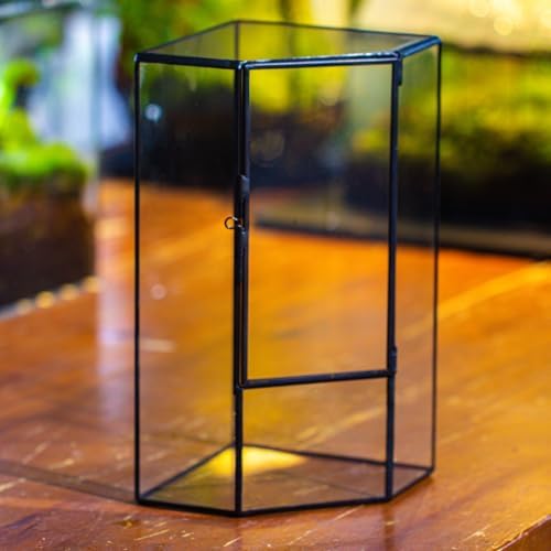 ncyp glass terrarium with front opening door for showing dimensions